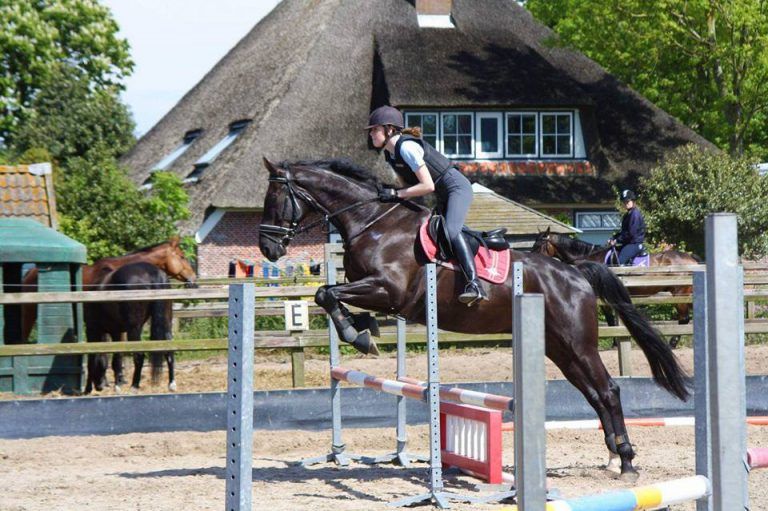 Home Paardrijden bij Manege de Hoef