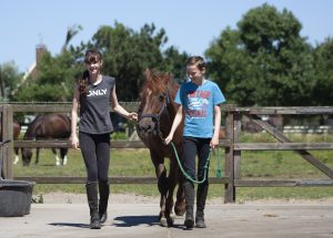 manegepaard