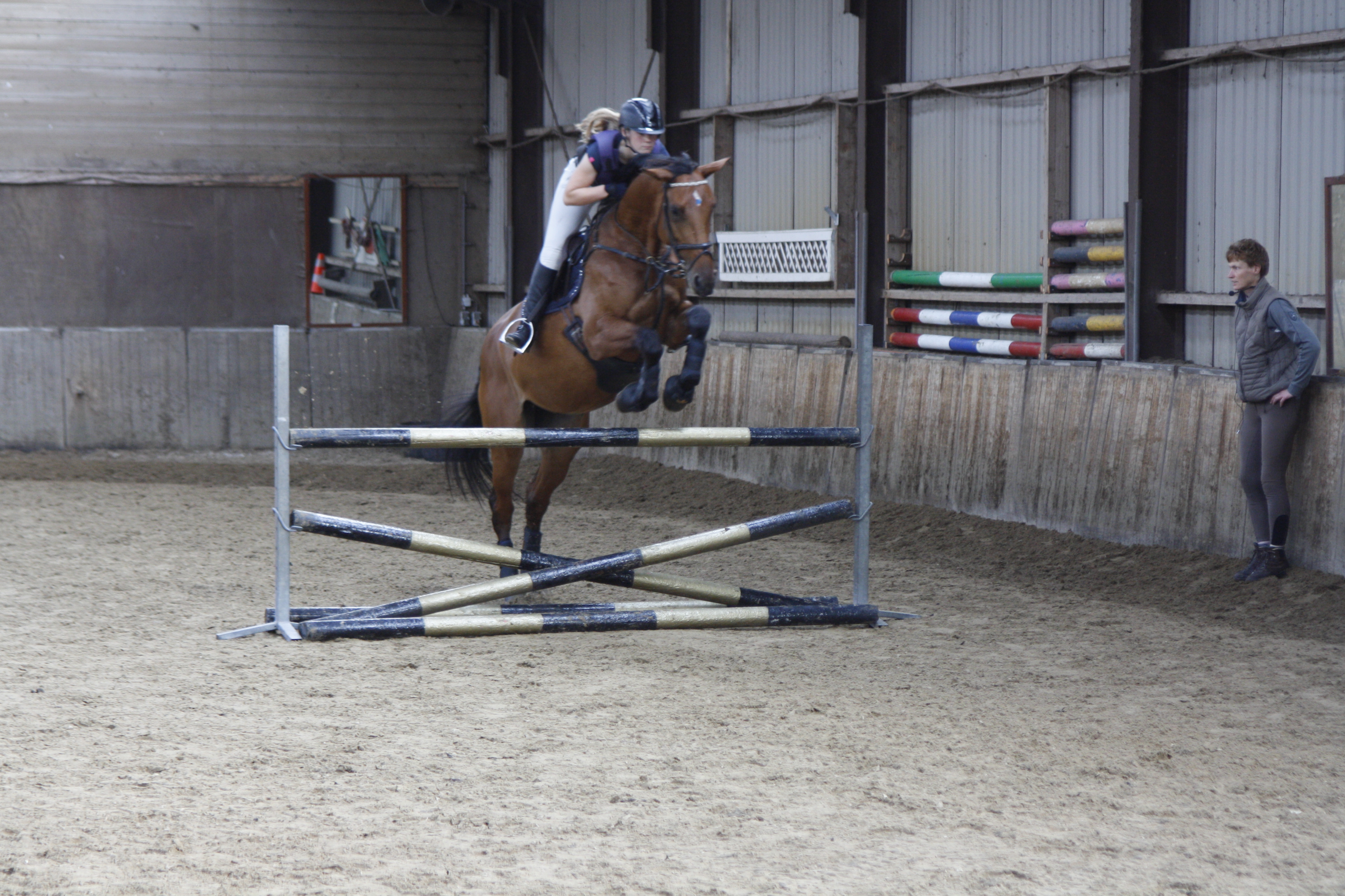 Paardrijden bij Manege de Hoef Paardrijden bij Manege de Hoef