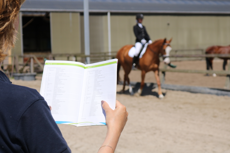 Paardrijden bij Manege de Hoef Manege de Hoef