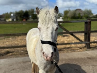 WhatsApp Image 2025-05-04 at 17.24.18