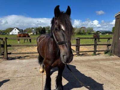 WhatsApp Image 2025-05-04 at 17.24.55